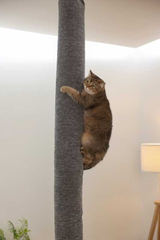 Kerbl Klettersack Katzen Carpet - ideale Alternative zu Kratzbaum deckenhoch, Aufstiegshilfe, Bezug waschbar